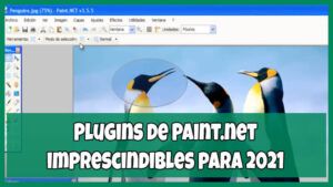 Plugins de Paint.net imprescindibles para 2021